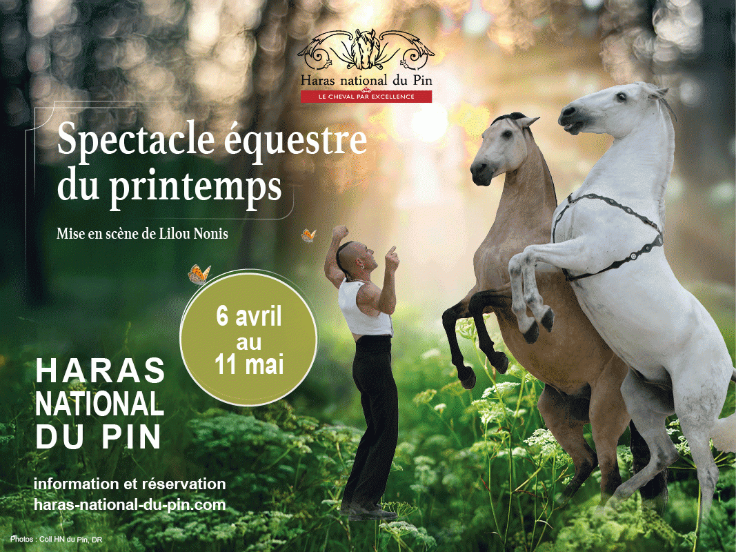 BANDEAU-800-x-600 | Haras du Pin BANDEAU-800-x-600 | Haras du Pin