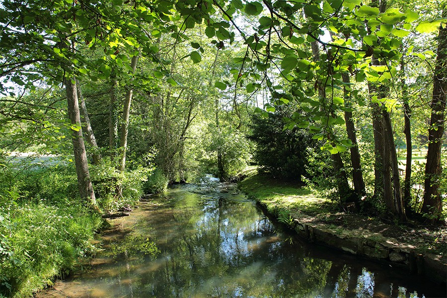 Résurgence Guiel La Ferté en Ouche | C. Aubert Résurgence Guiel La Ferté en Ouche | C. Aubert