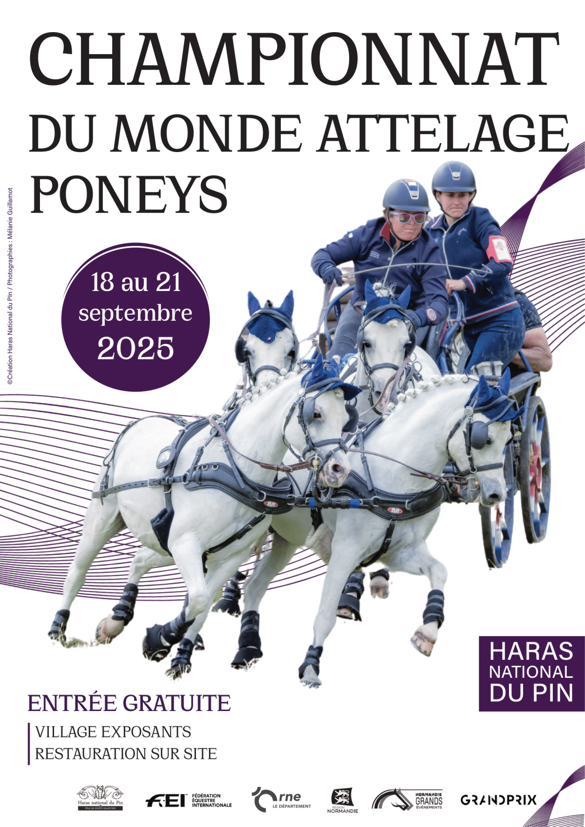 AFFICHE CHPW 25-1 | Haras du pin AFFICHE CHPW 25-1 | Haras du pin