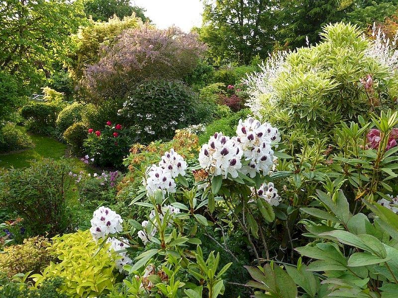 Jardin Bleuenn - La Ferté Macé | ©Jardin Bleuenn Jardin Bleuenn - La Ferté Macé | ©Jardin Bleuenn