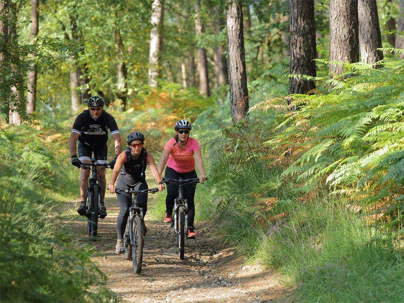 bagnoles-vtt-trans andaine | ©christophe Aubert bagnoles-vtt-trans andaine | ©christophe Aubert