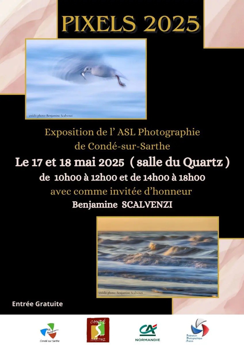 AFFICHE-Exposition-Pixels-2025 | condé sur sarthe AFFICHE-Exposition-Pixels-2025 | condé sur sarthe