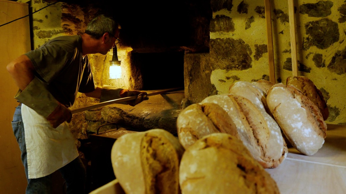 café-installation 26.07 | Le renard café-installation 26.07 | Le renard