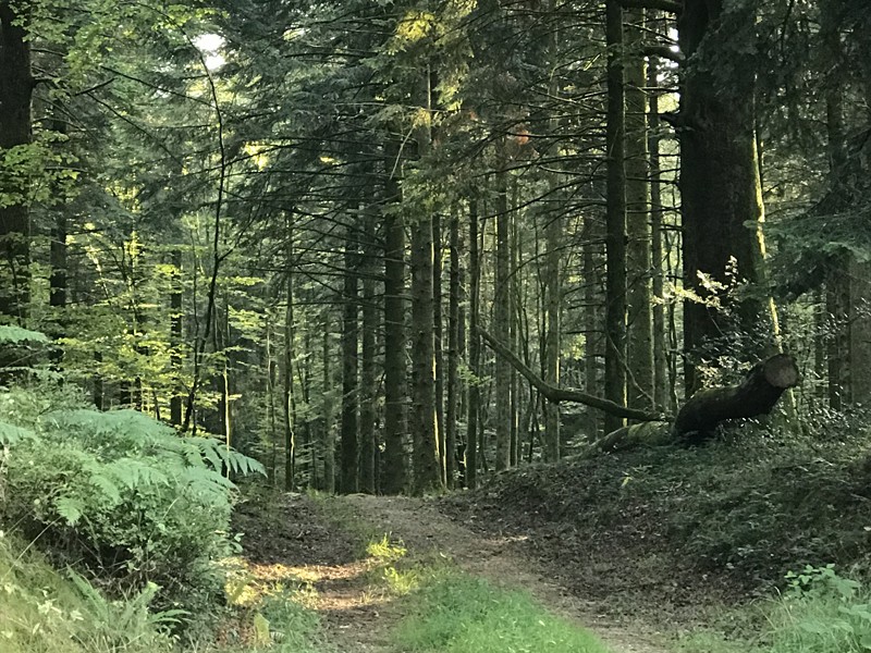 bagnoles-orne-foret | BeBagnoles bagnoles-orne-foret | BeBagnoles