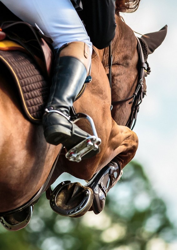 05 juillet spectacle equestre montgaudry | canva 05 juillet spectacle equestre montgaudry | canva