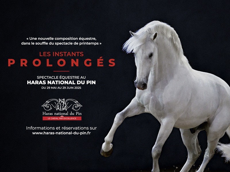 Les Instants Prolongés HNDP tourinsoft | Haras du Pin Les Instants Prolongés HNDP tourinsoft | Haras du Pin