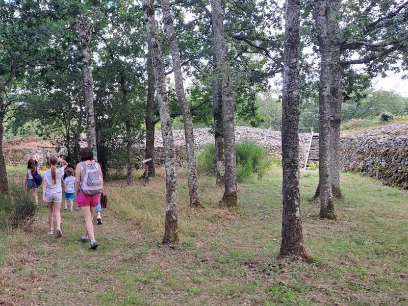 Visite guidée du Camp celtique de Bierre | Michaël HERBULOT