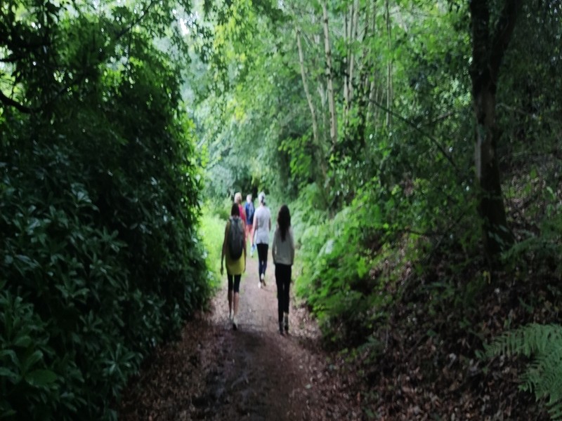 Yoga marche 800 | Yogavie-Ta-Nature Yoga marche 800 | Yogavie-Ta-Nature
