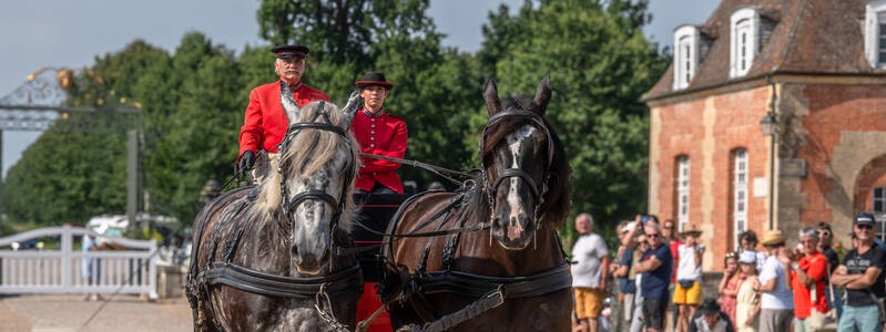 attelage_percheron | Haras du Pin attelage_percheron | Haras du Pin