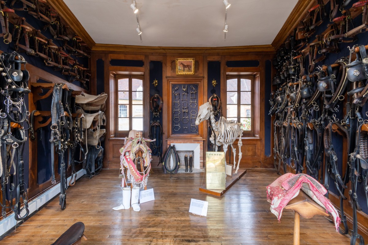 sellerie d'honneur | @David Commenchal