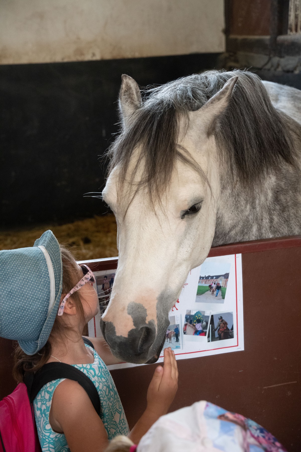 visite du Haras | @David Commenchal
