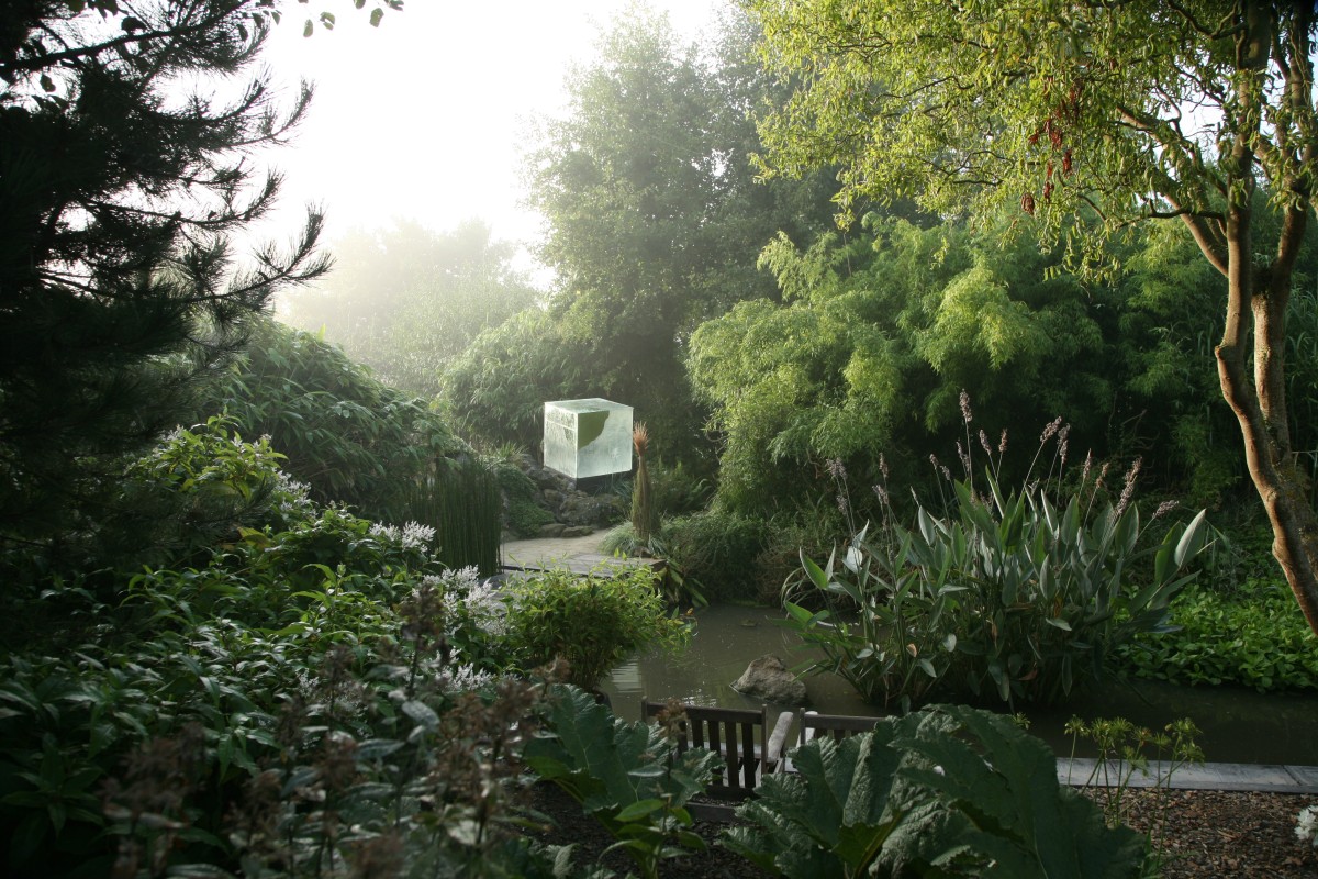 Jardin intérieur à ciel ouvert | Jardin intérieur à ciel ouvert
