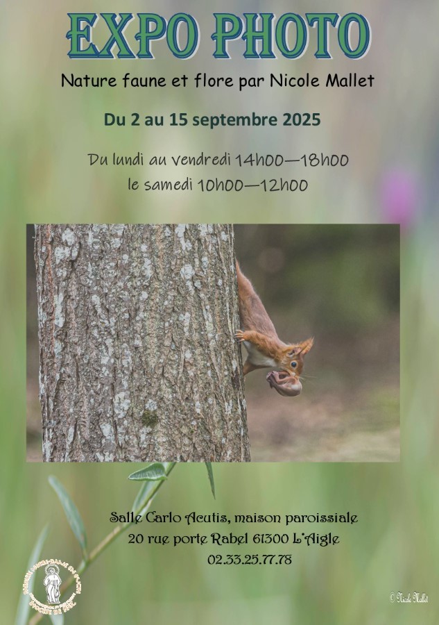 expo | nicole mallet