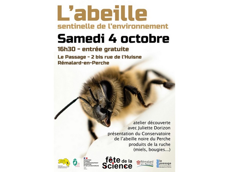 labeille-remalardenperche-800jpg | ©Médiathèque Le Passage labeille-remalardenperche-800jpg | ©Médiathèque Le Passage