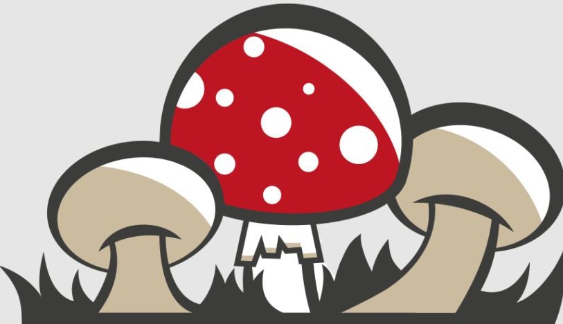 Champi L'aigle | Champi L'aigle