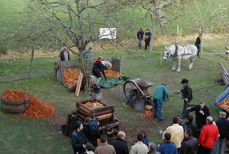 ecomuseearbreetcidre600x800 | ecomuseeduperche