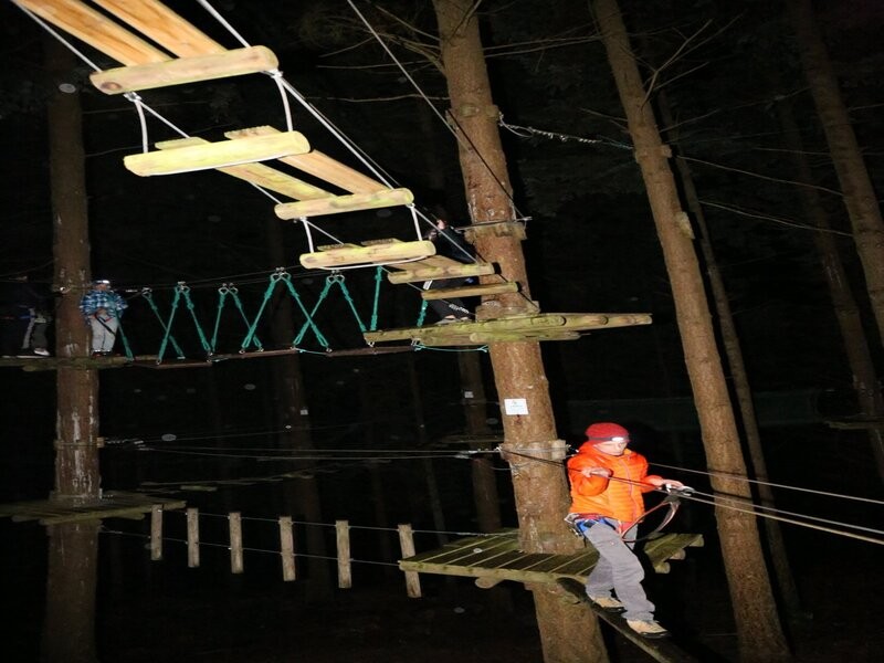 nocturne-d-halloween 800 | Tripadvisor