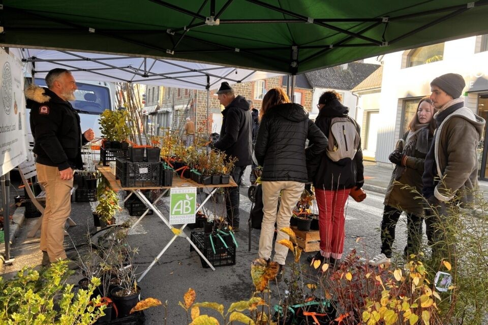 Foire de la Sainte-Catherine  | © Mairie de Briouze