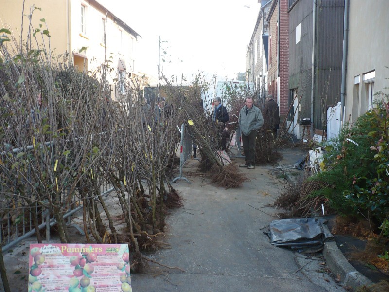 Foire de la Sainte-Catherine | Mairie de Briouze