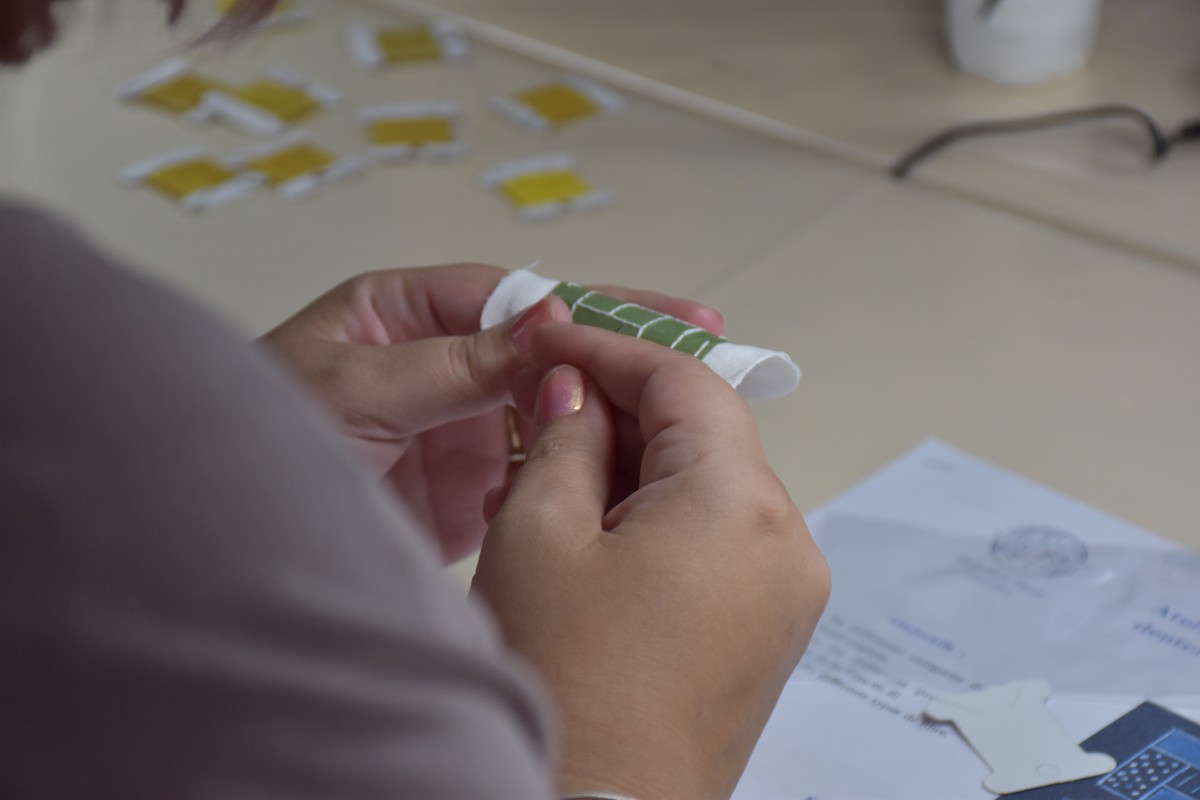 DSC_2744 | Alençon tourisme