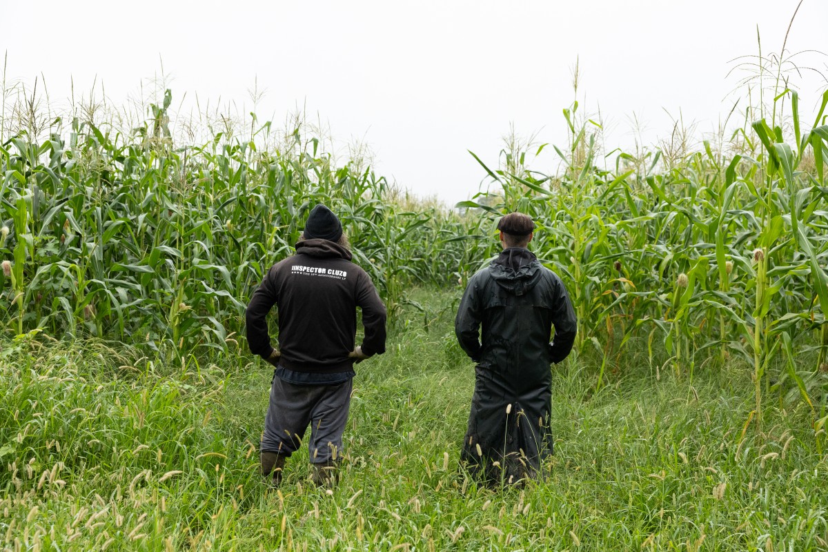 The Inspector Cluzo | Cyrille VIDAL