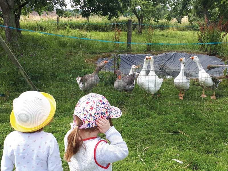 Ateliers ferme d'apolline | ©Lafermedapolline