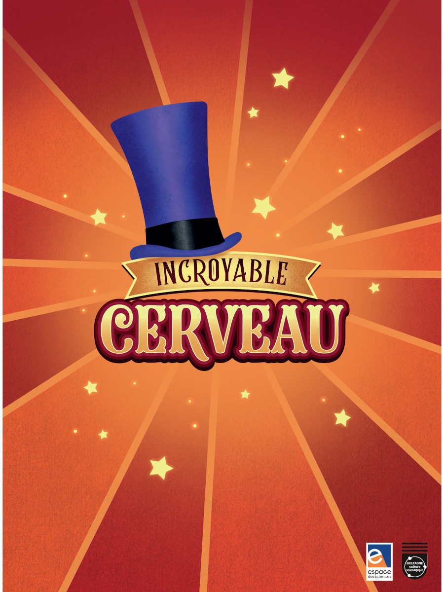 Incroyable cerveau | Espace des sciences