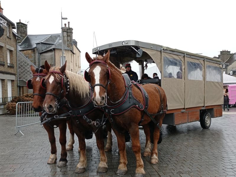 calèche(1) | @Flers-Agglo