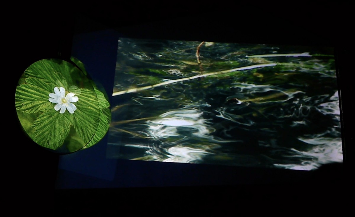 La cinquieme saison  | Annie Dissaux