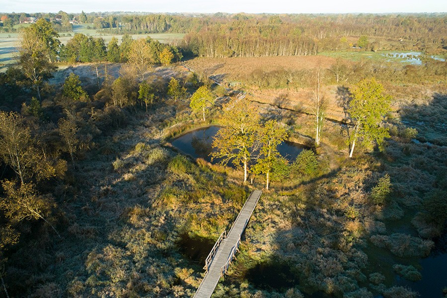 Marais du Grand Hazé | © C. Aubert