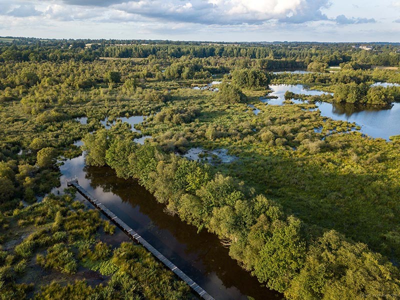 Marais du Grand Hazé | © D. Commenchal