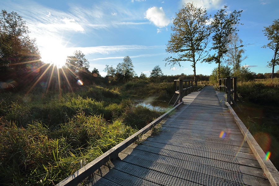 Marais du Grand Hazé | © C. Aubert