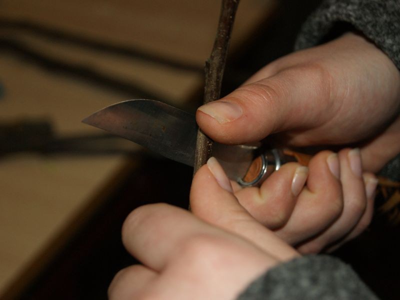 ecomusee_greffage3_800jpg | ©ecomuseeduperche