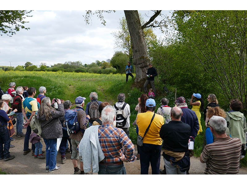 printemps-durcet-2023-800 | Adeline Volant
