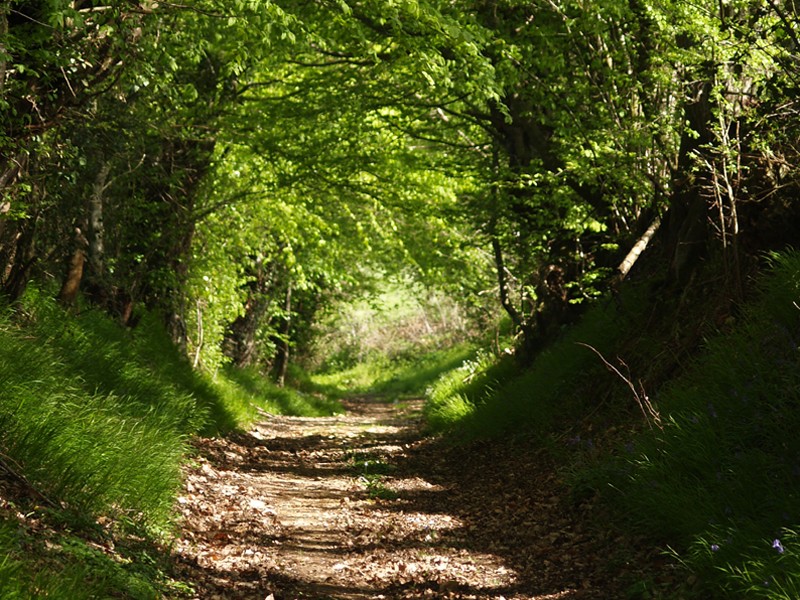 randonnee-800 | ©CDCPerchenormand