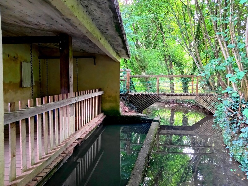 IMG_20250828_094833 - Copie | (c) OT Sées