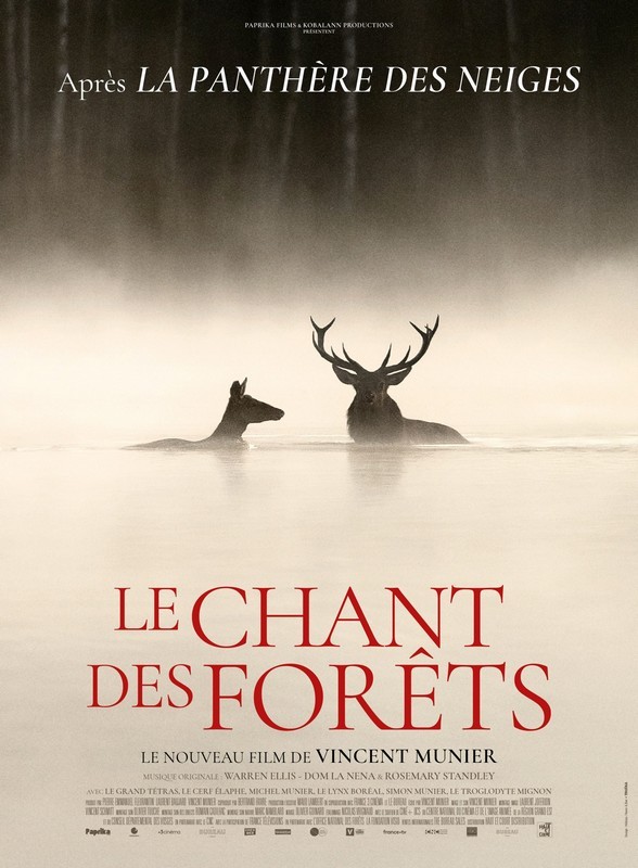 le chant des forets | alloCiné