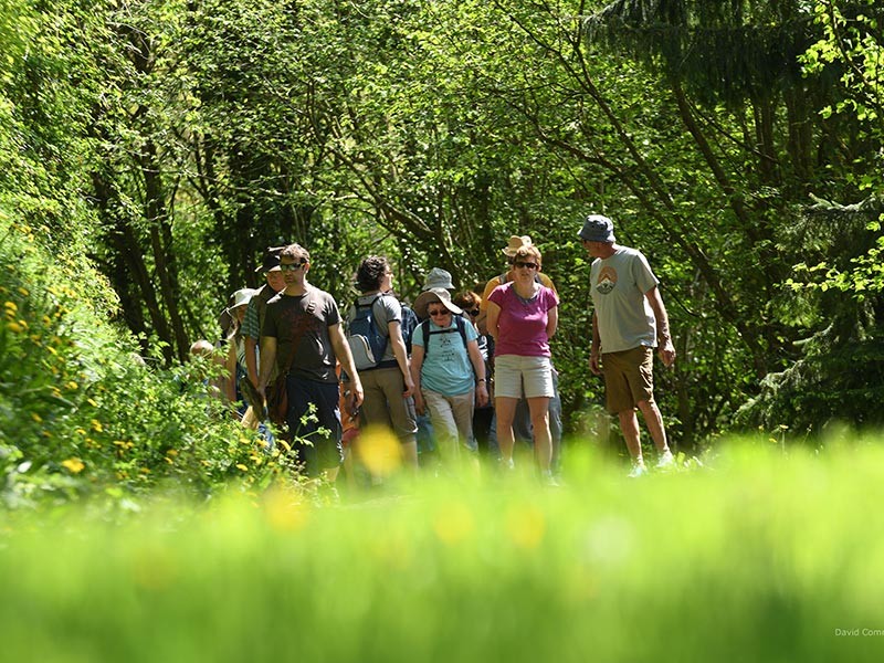 animations-coteaux-historiques-cph-D-Commenchal | © D. Commenchal