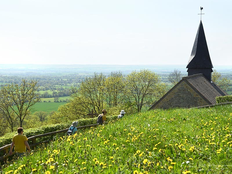 animations-coteaux-historiques-cph-D-Commenchal2 | © D. Commenchal