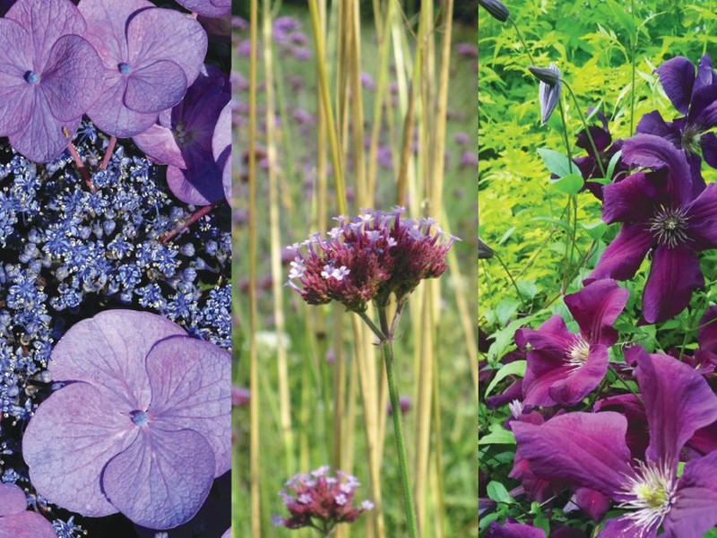 bagnoles-orne-fete-plantes-entre-ville-jardin-2024 | ©Entre ville et jardin