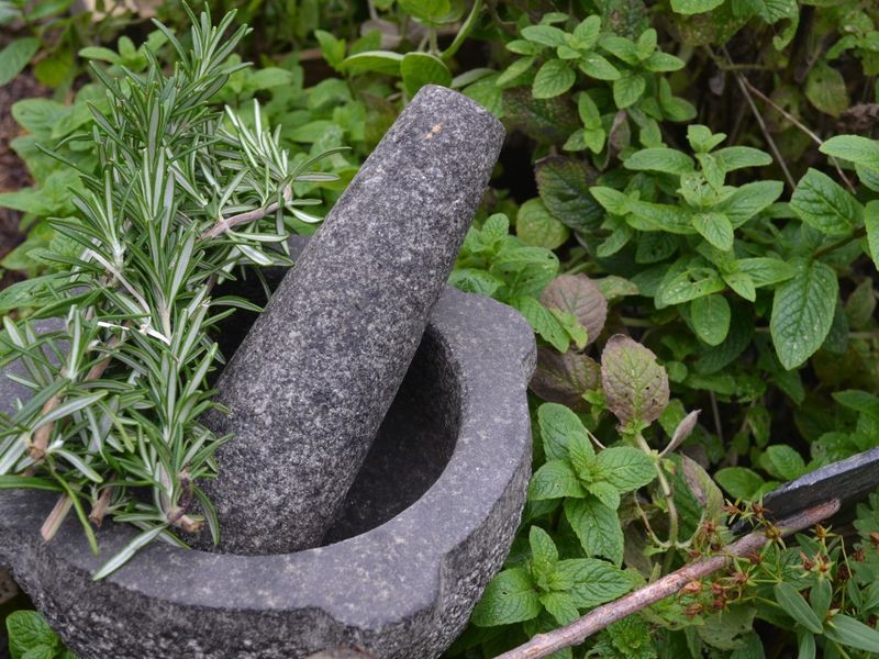 ecomusee_herboristerie_800 | ©ecomuseeduperche