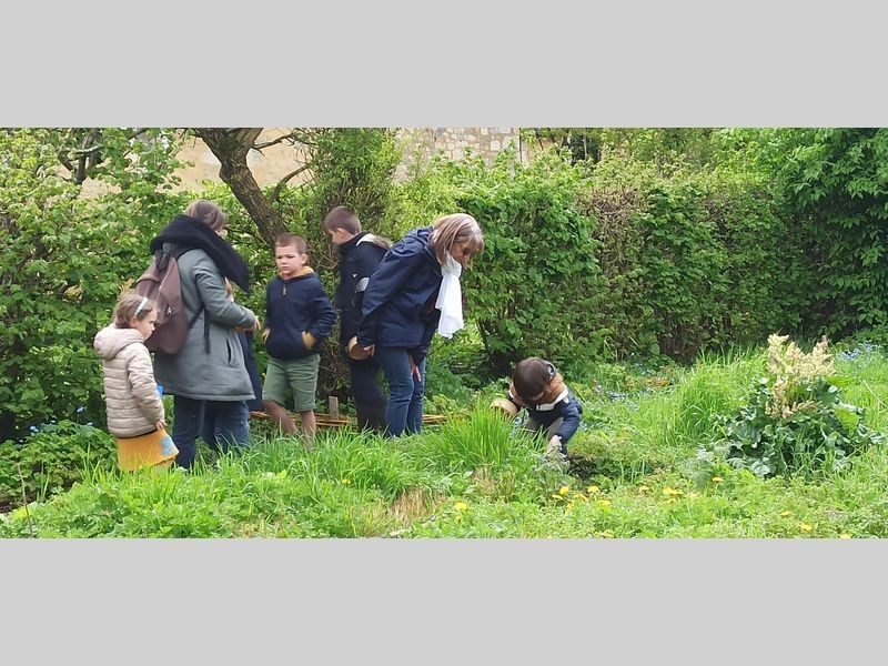 3ecomusee_jardin2_800 | ecomuseeduperche