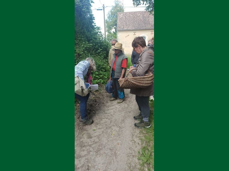 ecomusee_anim-herboristerie_800 | ecomuseeduperche