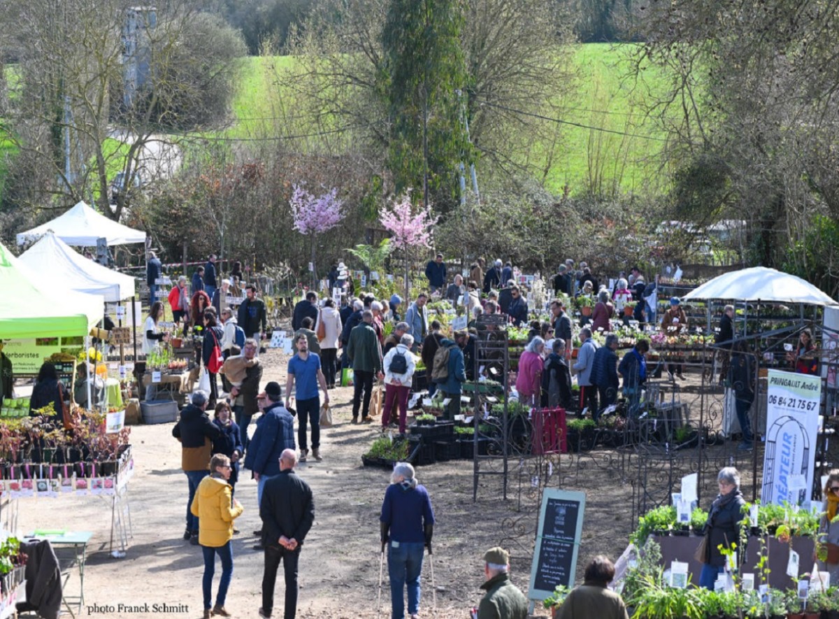 FDP | ©FranckSchmitt