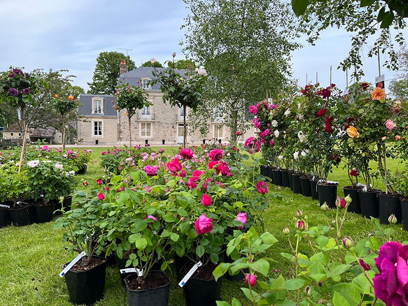 we-floral-m-espargeliere-g | M. Espargeliere