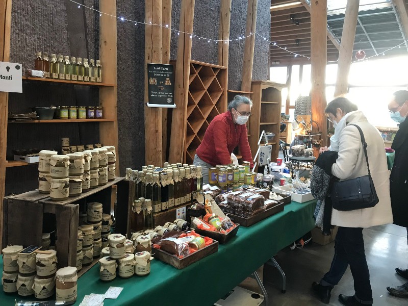 Tutti planti (2)-@MontagnesdeNormandieTourisme | BIT Roche d'Oëtre