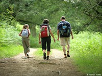 Randonnée dans l'Orne en Normandie | © Auremar - Fotolia.com