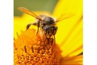 Fotolia_24993876_L | Fotolia