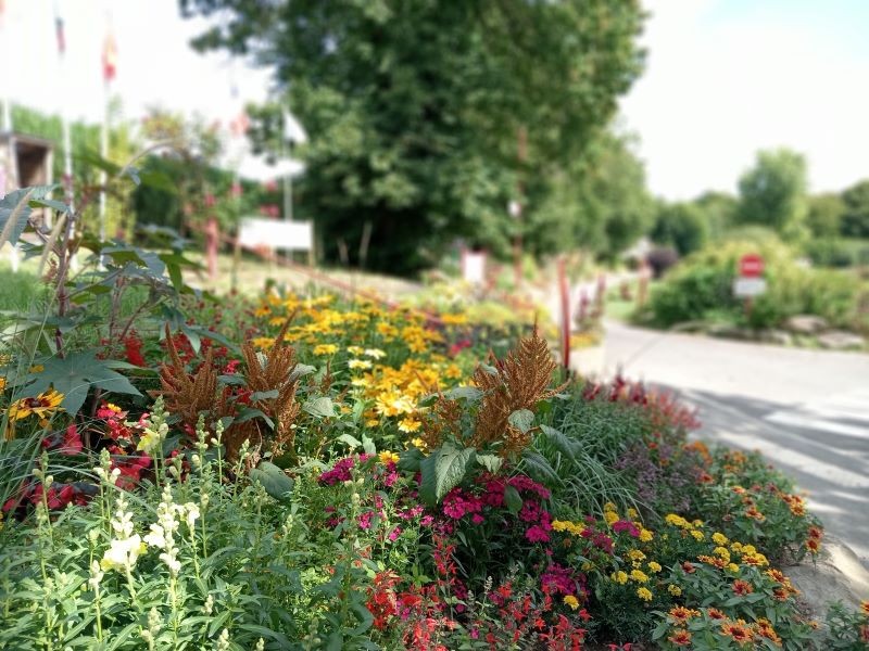 VG_ST_FRAIMBAULT | © Destination Domfront Bagnoles