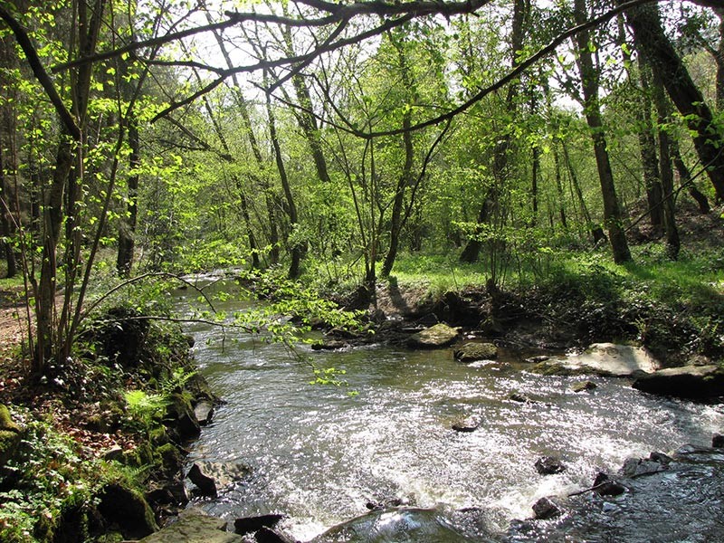 La Gourbe | © PNRNM - M.Debroize